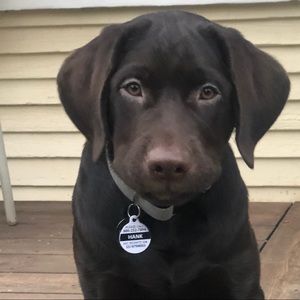 Meet your Posher, Jenny